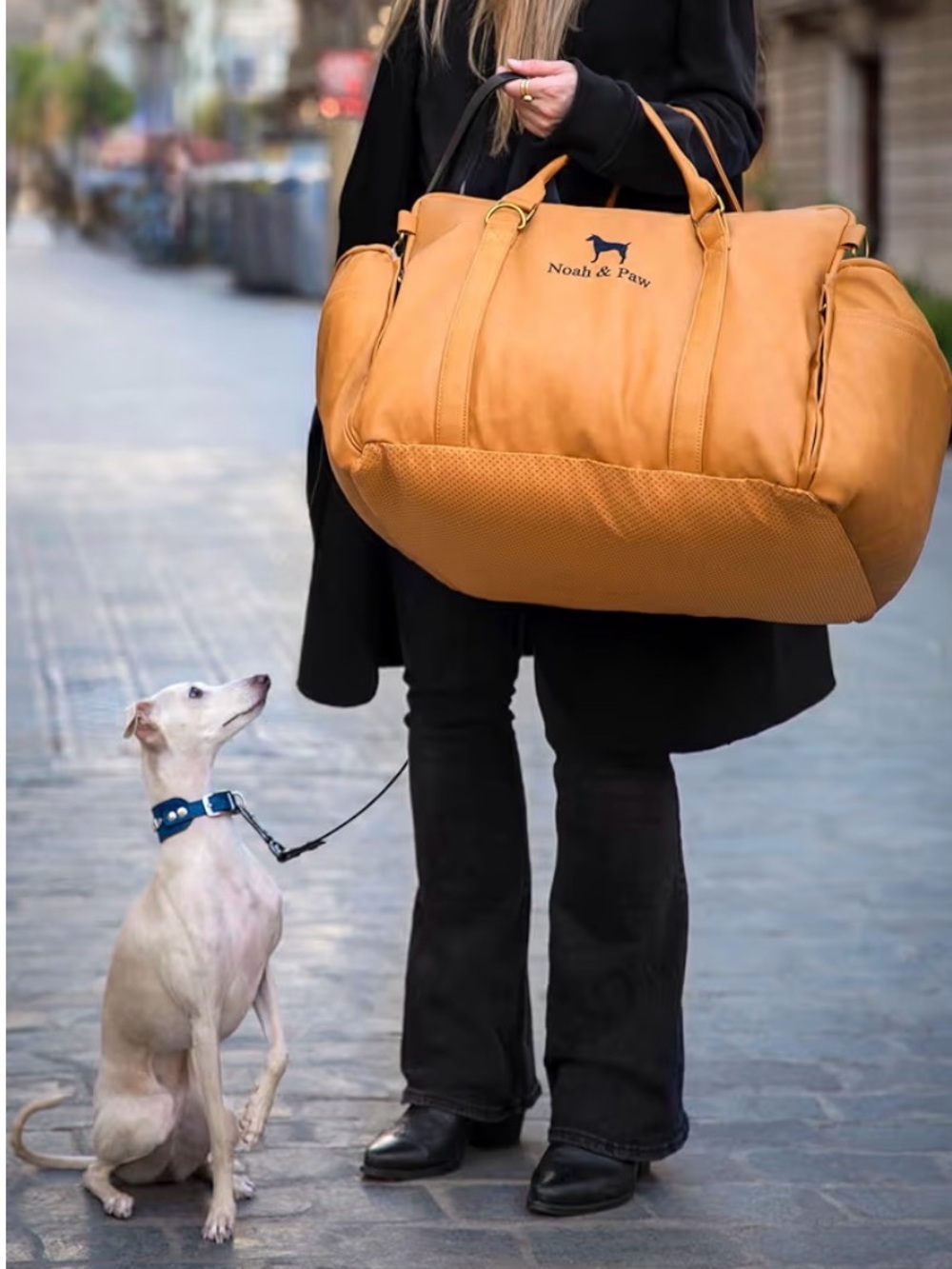 Tan Leather Dog Travel Carrier Bag